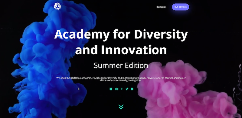 Academy for Diversity & Innovation